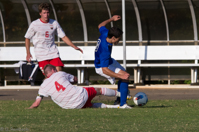 ISO 640, 1/2500 sec at f / 8.0, 270 mm