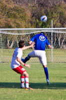 ISO 640, 1/1250 sec at f / 5.6, 230 mm