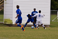 ISO 2500, 1/500 sec at f / 5.6, 250 mm
