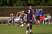 ISO 400, 1/800 sec at f / 2.8, 200 mm