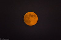 ISO 10000, 1/3200 sec at f / 5.6, 400 mm