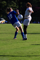 ISO 1000, 1/3200 sec at f / 4.5, 120 mm