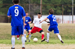 ISO 1250  1/2500 sec at f / 2.8   155 mm