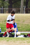 ISO 1250  1/3200 sec at f / 2.8   200 mm