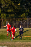ISO 2500  1/2500 sec at f / 6.3   135 mm