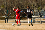 1/800 sec at f / 8.0     135 mm