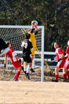 1/4000 sec at f / 2.8     200 mm