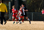 1/4000 sec at f / 2.8     200 mm