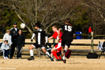 1/200 sec at f / 22     200 mm