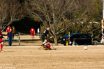 1/125 sec at f / 20     200 mm
