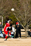 1/125 sec at f / 20     200 mm