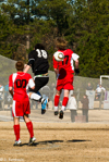 1/250 sec at f / 22     200 mm