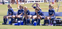 ISO 500,  400 mm,  1/1250 sec at f / 5.6