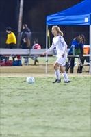ISO 12800,  200 mm,  1/320 sec at f / 3.5