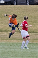 ISO 800,  400 mm,  1/250 sec at f / 5.6