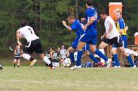 ISO 800, 1/1250 sec at f / 3.2, 200 mm