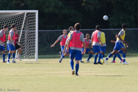 ISO 800, 1/500 sec at f / 9.0, 200 mm