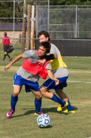 ISO 800, 1/1600 sec at f / 9.0, 70 mm