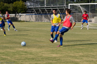 ISO 800, 1/1600 sec at f / 9.0, 70 mm