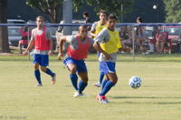 ISO 800, 1/640 sec at f / 9.0, 200 mm