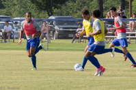 ISO 800, 1/800 sec at f / 9.0, 200 mm