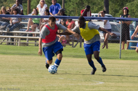 ISO 800, 1/800 sec at f / 9.0, 200 mm