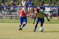 ISO 800, 1/800 sec at f / 9.0, 200 mm