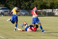 ISO 800, 1/1000 sec at f / 9.0, 105 mm