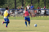 ISO 800, 1/800 sec at f / 9.0, 200 mm