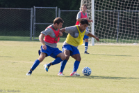 ISO 800, 1/500 sec at f / 9.0, 180 mm