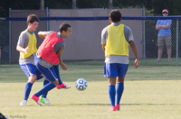 ISO 800, 1/400 sec at f / 9.0, 200 mm