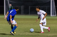 ISO 12800, 1/800 sec at f / 2.8, 200 mm