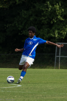 ISO 1000, 1/1000 sec at f / 5.6, 270 mm