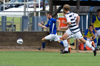 ISO 1000, 1/2000 sec at f / 5.6, 270 mm