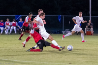 ISO 16000, 1/400 sec at f / 2.8, 110 mm