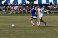 ISO 800, 1/2000 sec at f / 9.0, 148 mm