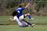 ISO 800, 1/2500 sec at f / 5.6, 400 mm