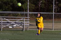 ISO 4000, 1/8000 sec at f / 7.1, 270 mm