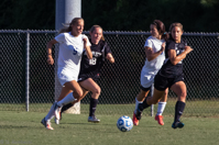 ISO 4000, 1/4000 sec at f / 5.6, 400 mm