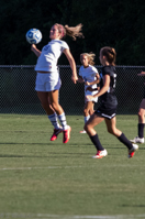 ISO 4000, 1/5000 sec at f / 5.6, 270 mm