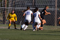 ISO 1600, 1/4000 sec at f / 5.6, 300 mm