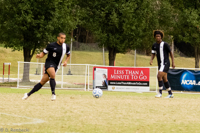 ISO 1600, 1/2000 sec at f / 5.0, 158 mm