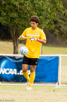 ISO 1600, 1/1000 sec at f / 5.6, 350 mm