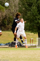 ISO 1600, 1/1600 sec at f / 5.6, 270 mm