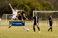 ISO 1600, 1/3200 sec at f / 5.0, 170 mm