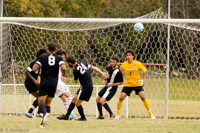 ISO 1600, 1/1250 sec at f / 5.6, 320 mm