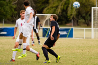 ISO 1600, 1/1600 sec at f / 5.6, 300 mm