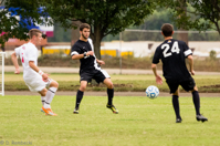 ISO 1600, 1/1000 sec at f / 5.6, 400 mm