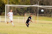 ISO 1600, 1/1600 sec at f / 5.6, 210 mm