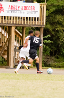 ISO 1600, 1/800 sec at f / 5.6, 210 mm